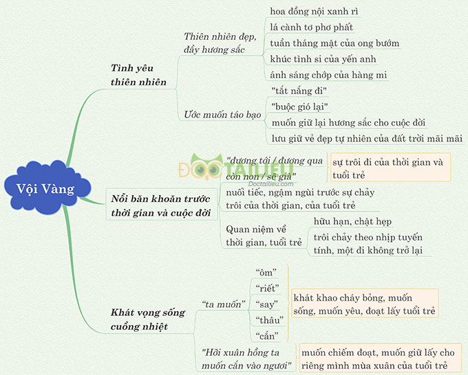 Sơ đồ tư duy phân tích bài thơ Vội vàng Xuân Diệu