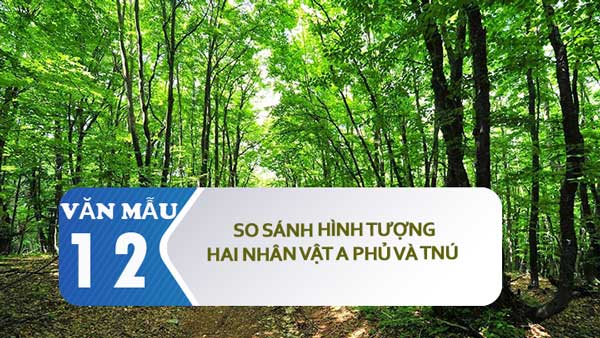 So sánh hình tượng hai nhân vật A Phủ và Tnú