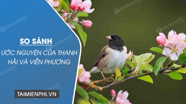 so sanh uoc nguyen cua thanh hai va vien phuong