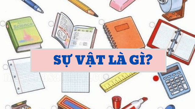 Sự vật là gì? Khái niệm, cách dùng từ chỉ sự vật - Máy chà sàn đơn