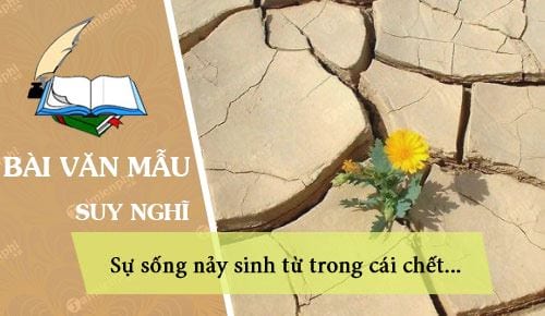 suy nghi cua anh chi ve cau noi su song nay sinh tu trong cai chet