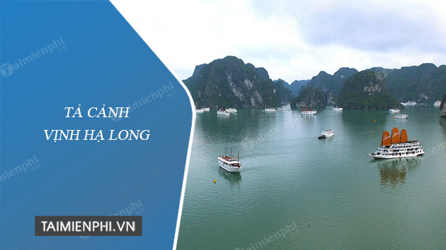 ta canh vinh ha long