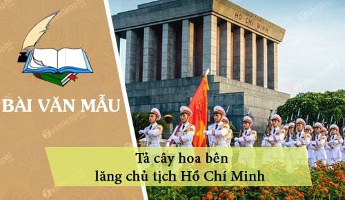 ta cay hoa ben lang chu tich ho chi minh