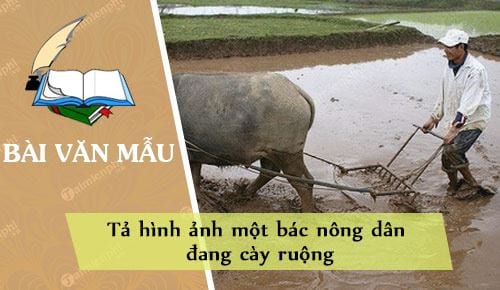 ta hinh anh mot bac nong dan dang cay ruong