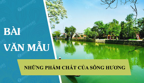 tac gia da to dam nhung pham chat gi cua song huong