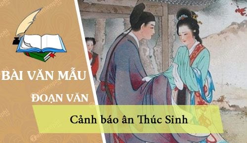 thay loi thuy kieu em hay viet doan van ke lai canh bao an thuc sinh trong do co su dung yeu to mieu ta va bieu cam