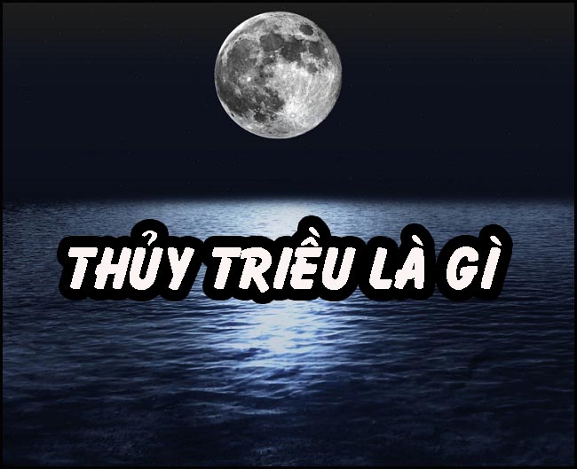 Thủy triều là gì?