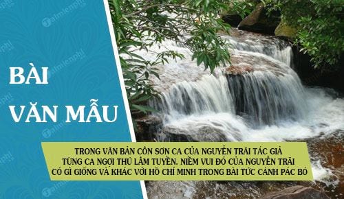 trong van ban con son ca cua nguyen trai tac gia tung ca ngoi thu lam tuyen niem vui do cua nguyen trai co gi giong va khac voi ho chi minh trong bai tuc canh pac bo