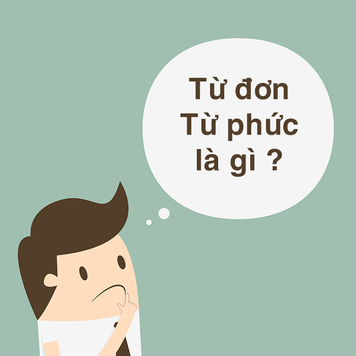 Từ đơn và từ phức là gì? Cách phân biệt và ví dụ minh họa