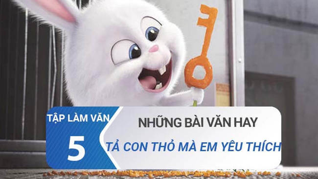 Văn mẫu tả con thỏ mà em yêu thích - Tập làm văn lớp 5