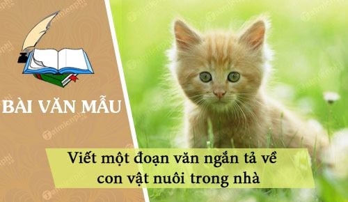 viet mot doan van ngan ta ve con vat nuoi trong nha