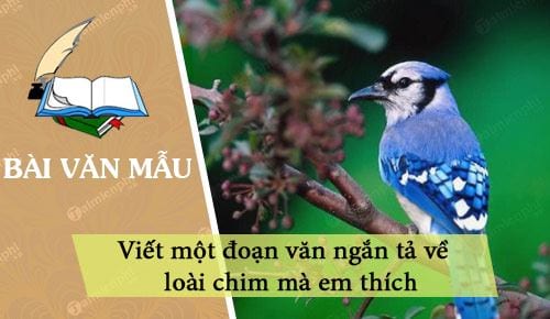 viet mot doan van ngan ta ve loai chim ma em thich