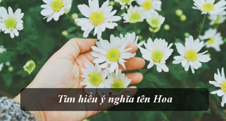 Con gái tên Hoa có ý nghĩa gì? Những tên Hoa hay nhất cho bé. Có nên đặt tên Hoa cho con không? Tên đệm cho tên Hoa hay ý nghĩa.