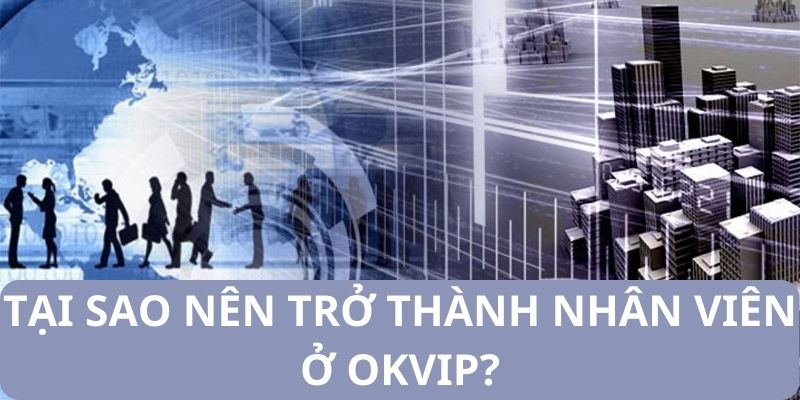 Tại sao nên trở thành nhân viên ở OKVIP?
