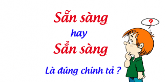 san-sang-hay-san-sang-la-dung