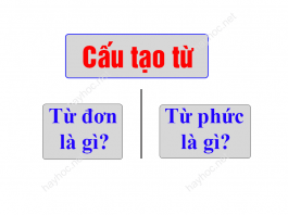 tu-phuc-la-gi-tu-don-la-gi