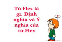 Từ Flex là gì