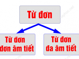 Từ đơn đơn âm tiết và từ đơn đa âm tiết là gì, cách phân biệt tu-don-da-am-tiet-la-gi