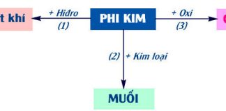 Tính chất hóa học của phi kim