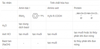 tính chất của Amin, Amino axit và Protein
