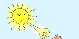 Phản xạ là gì?