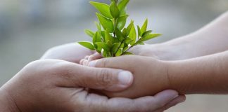 Dàn ý nghị luận xã hội về lòng khoan dung hay nhất