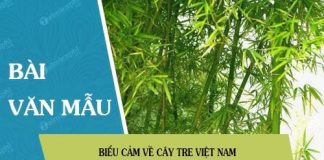 bieu cam ve cay tre viet nam