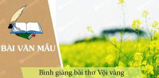 binh giang bai tho voi vang cua xuan dieu