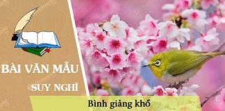 binh giang kho tho dau bai mua xuan nho nho