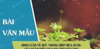 binh luan ve buc thong diep mua xuan cua xuan dieu gui den cho nguoi doc qua bai tho voi vang