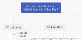 Các phép liên kết câu và liên kết đoạn văn đã học lớp 9