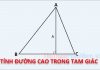 Cách tính đường cao trong tam giác