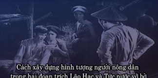 cach xay dung hinh tuong nguoi nong dan trong hai doan trich lao hac va tuc nuoc vo bo