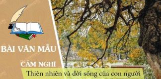 cam nghi ve thien nhien va doi song cua con ng uoi trong thoi khac chuyen mua