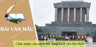 cam nhan cua em truoc long kinh yeu tha thiet cua nhan dan mien nam qua bai vieng lang bac