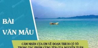 cam nhan cua em ve doan trich co to trong tac pham cung ten cua nguyen tuan
