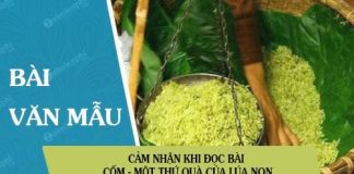 cam nhan khi doc bai com mot thu qua cua lua non