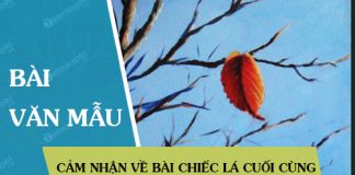 cam nhan ve bai chiec la cuoi cung