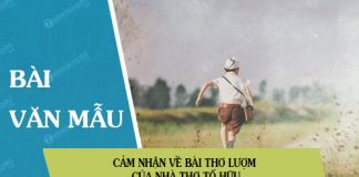 cam nhan ve bai tho luom cua to huu