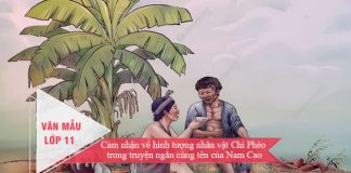 cam nhan ve hinh tuong nhan vat chi pheo trong truyen ngan cung ten cua nam cao