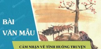 cam nhan ve tinh huong truyen trong truyen ngan vo nhat