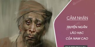 cam nhan ve truyen ngan lao hac cua nam cao