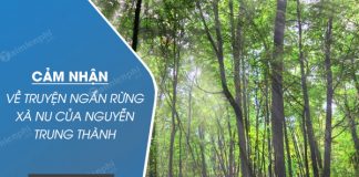 cam nhan ve truyen ngan rung xa nu cua nguyen trung thanh