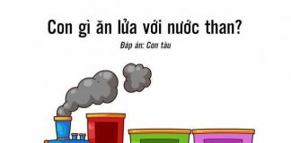 cau do vui 10