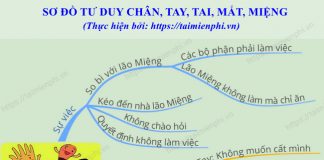 so do tu duy truyen chan tay tai mat mieng