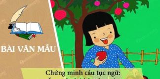 chung minh cau tuc ngu an qua nho ke trong cay