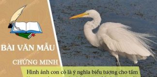 chung minh hinh anh con co la y nghia bieu tuong cho tam long nguoi me luon o ben con den het cuoc doi