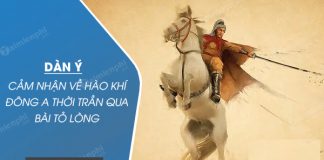 dan y cam nhan ve hao khi dong a thoi tran qua bai to long