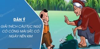 dan y giai thich cau tuc ngu co cong mai sat co ngay nen kim