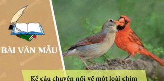 dan y ke cau chuyen noi ve mot loai chim